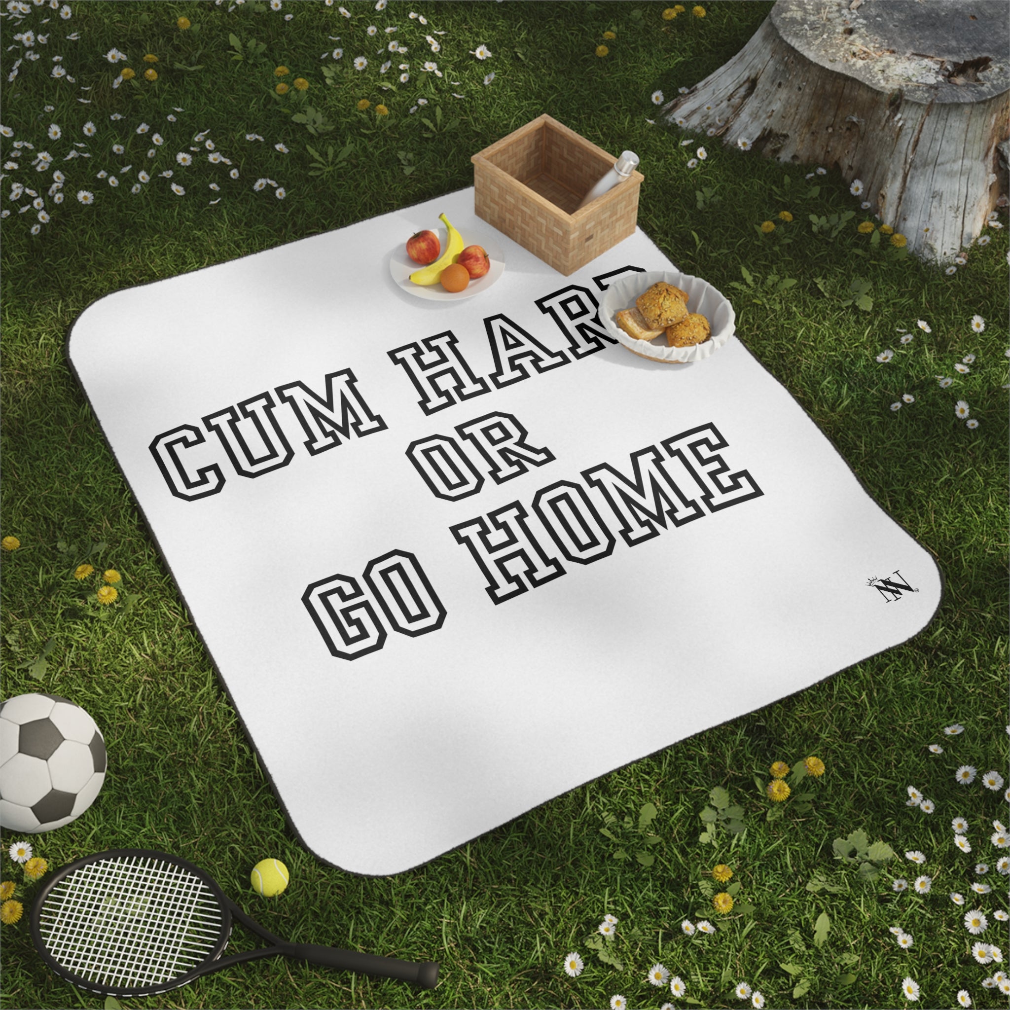 Cum Hard or Go Home Water Resistant Travel Squirt Blanket