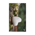 Stone Rock Heart 3D White | Funny Gifts for Men - Gifts for Him - Birthday Gifts for Men, Him, Her, Husband, Boyfriend, Girlfriend, New Couple Gifts, Fathers & Valentines Day Gifts, Christmas Gifts NECTAR NAPKINS